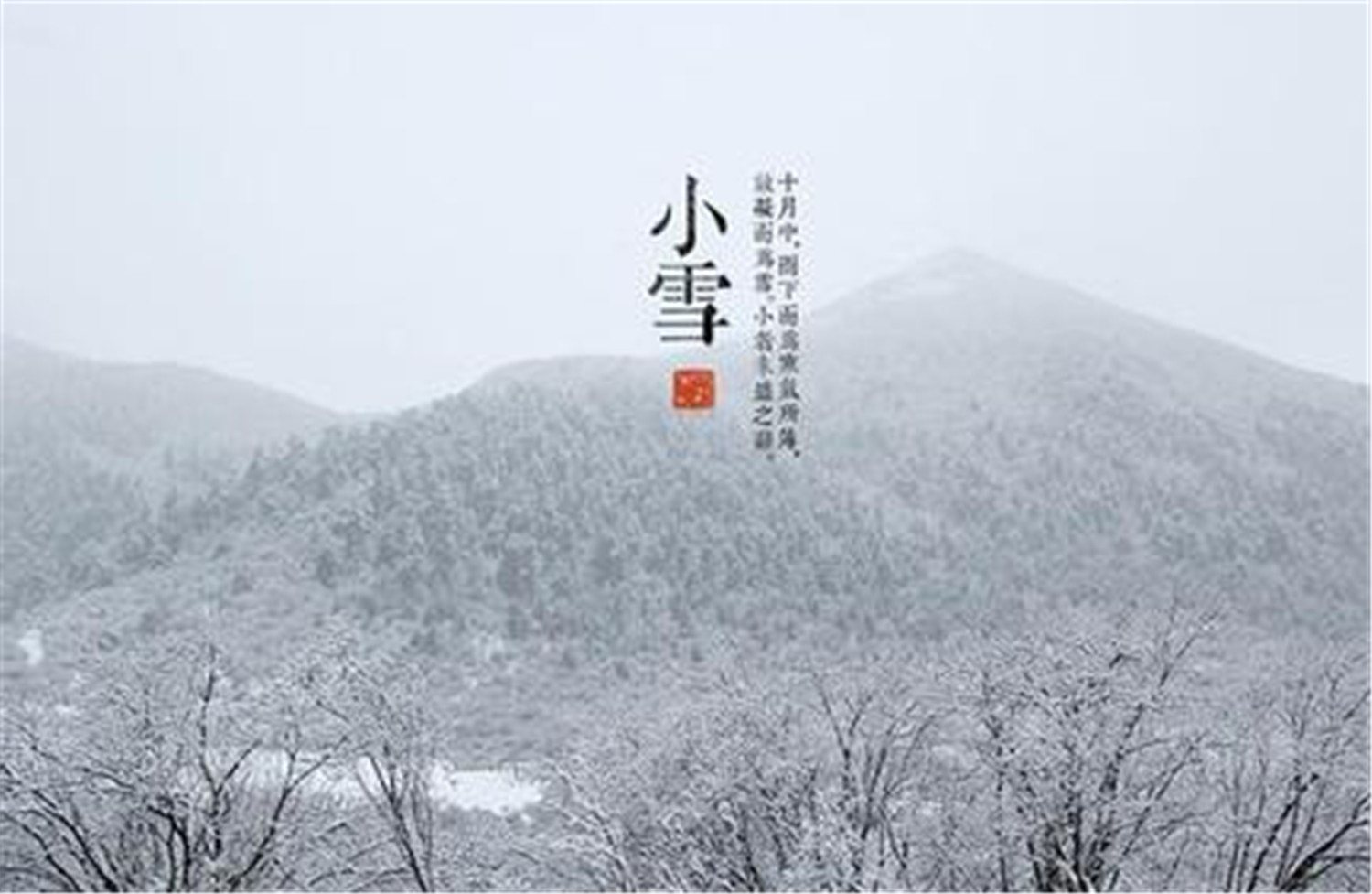 小雪節(jié)氣，探尋節(jié)氣文化與自然奧秘的旅程