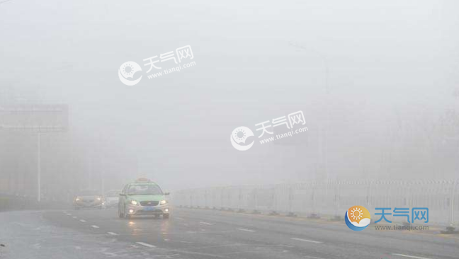 大霧與大雨的交織，自然的神秘面紗探索