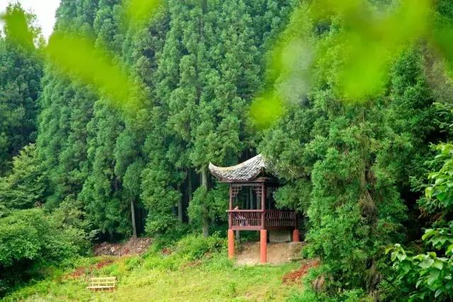 曬中華文化，博大精深，歷久彌新的傳承與展示