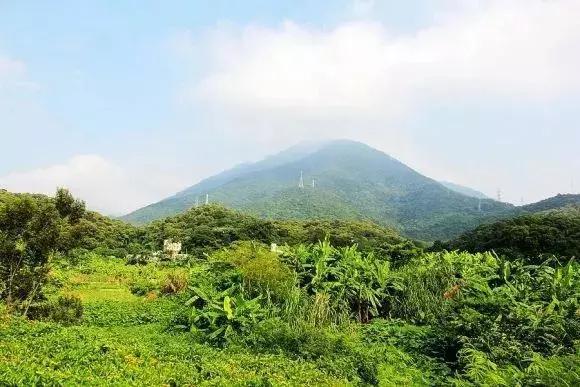 梧桐山自然奇觀，巨石與人文情懷的交融之地