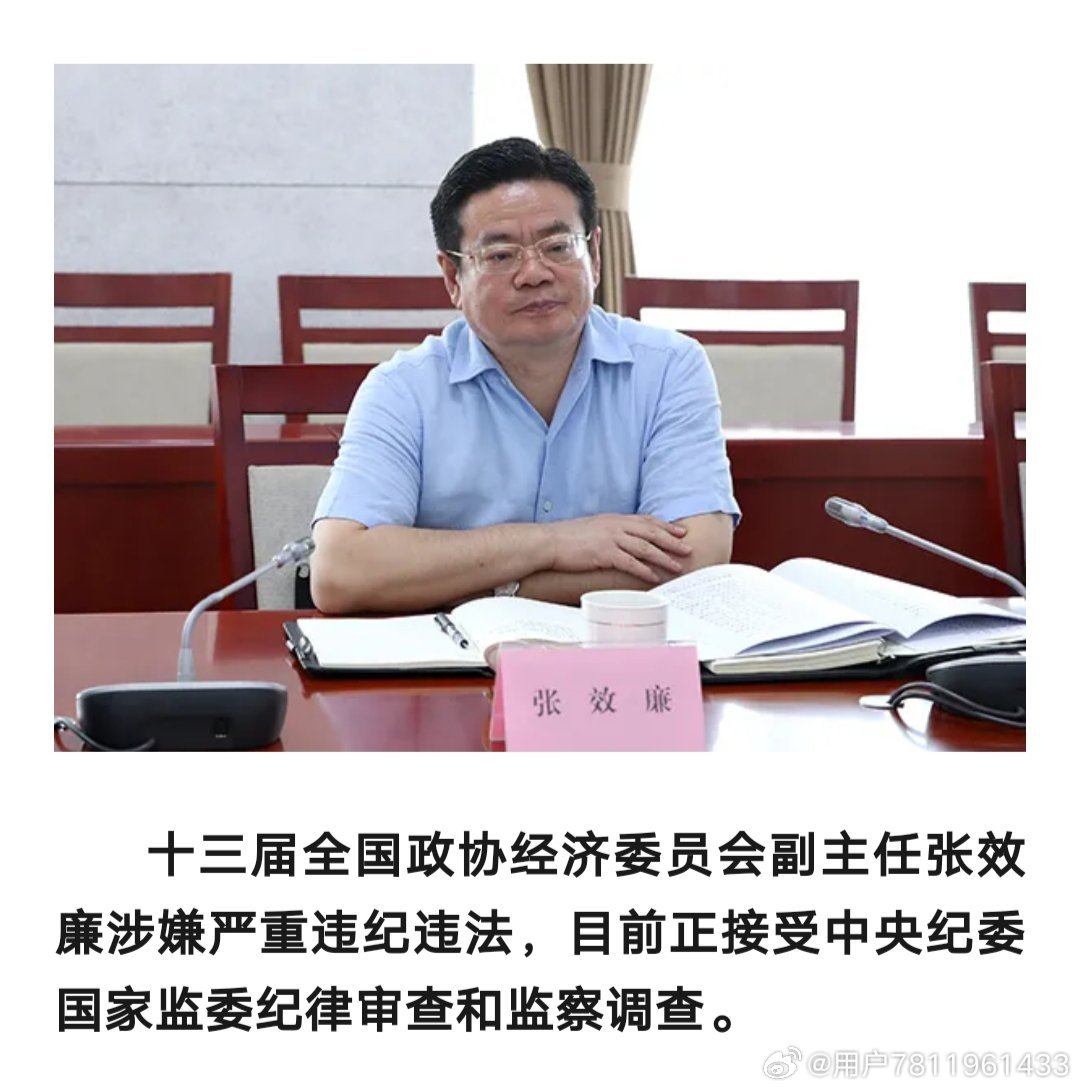 哈爾濱原市長張效廉被查，腐敗現(xiàn)象的警示與反思深度剖析