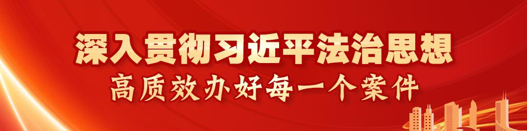 信小小最新動態(tài)揭秘，探索未知領(lǐng)域，展現(xiàn)無限可能