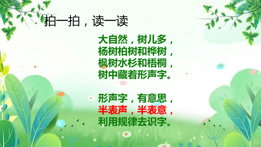 最新樹(shù)之歌，自然之聲，和諧之韻