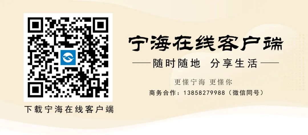 寧海最新招聘信息，時代的脈搏與地方機遇的交匯點